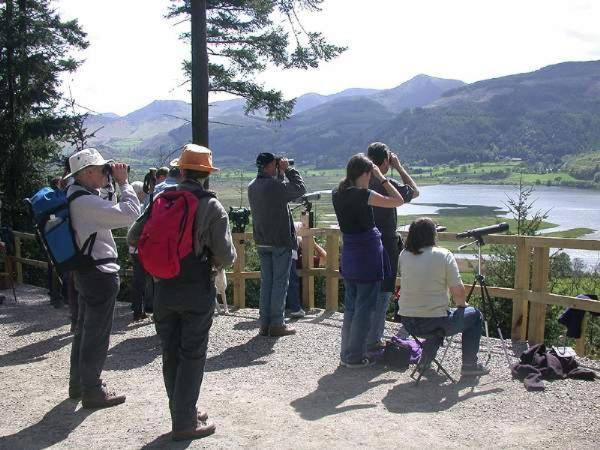 By The - District - Hot Tub * Bassenthwaite