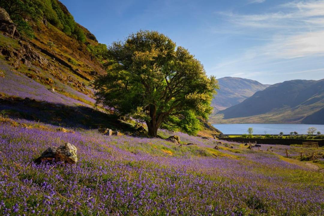 Hébergement de vacances By The - District - Hot Tub Bassenthwaite
